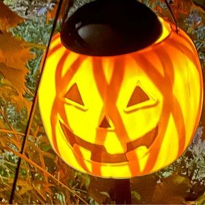 Decoration! Hand-craft. A pumpkin that lit up, with a decorative solar light!